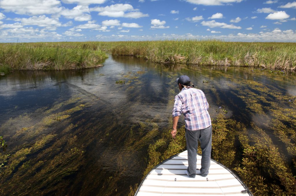 Fishing from the boat landscape the marsh and flora PH Fabian Anastasio scaled